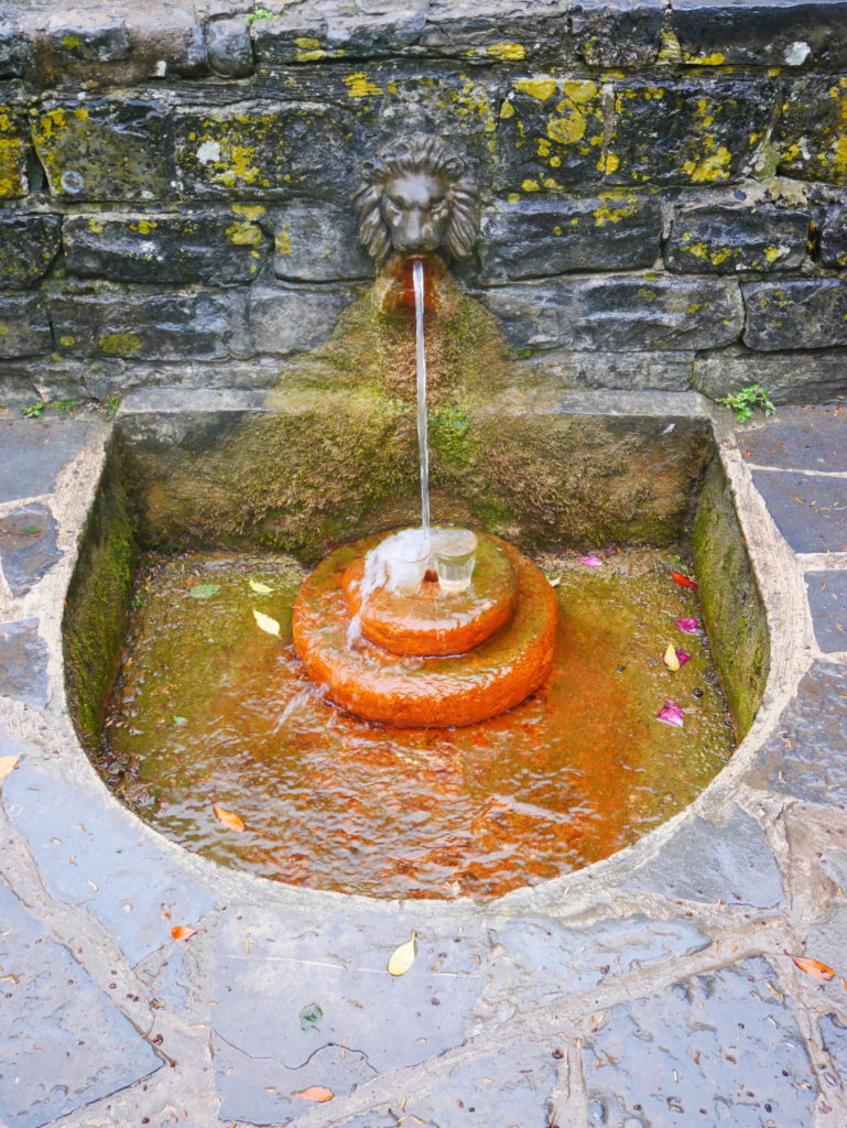 Ccfcfd5a 1b21 4b67 800d 99f92b6490d4